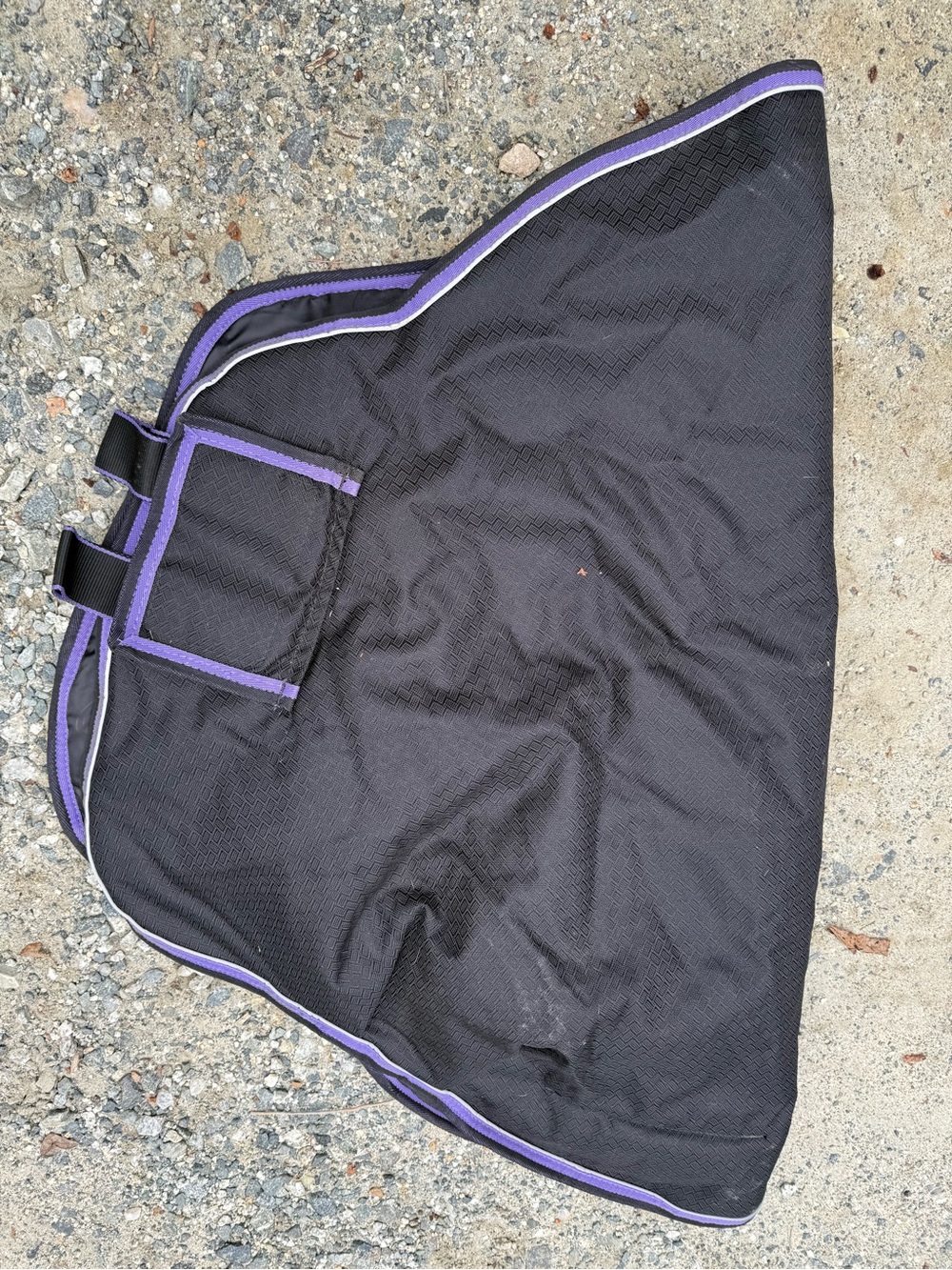 Weatherbeeta Turnout Winter weight Horse L black w/ Purple Trim Nice liner !